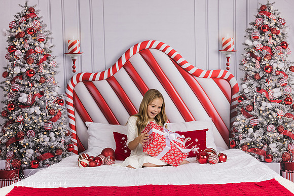 Phoenix Holiday Mini Photo Session