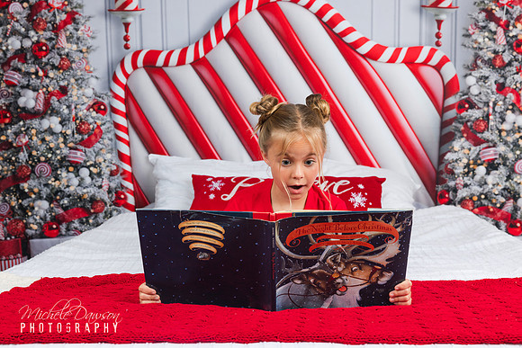 Phoenix Holiday Mini Photo Session