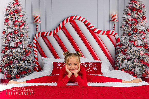 Phoenix Holiday Mini Photo Session