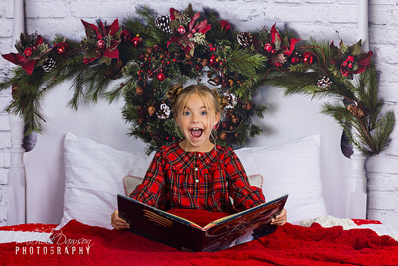 Phoenix Holiday Mini Photo Session