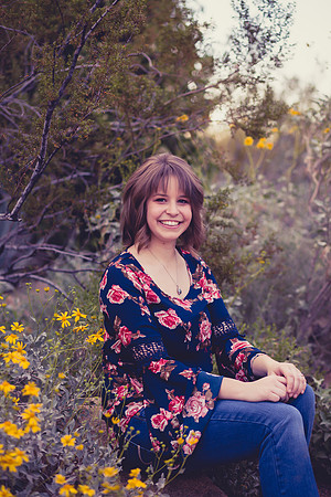 Desert Botanical Gardens